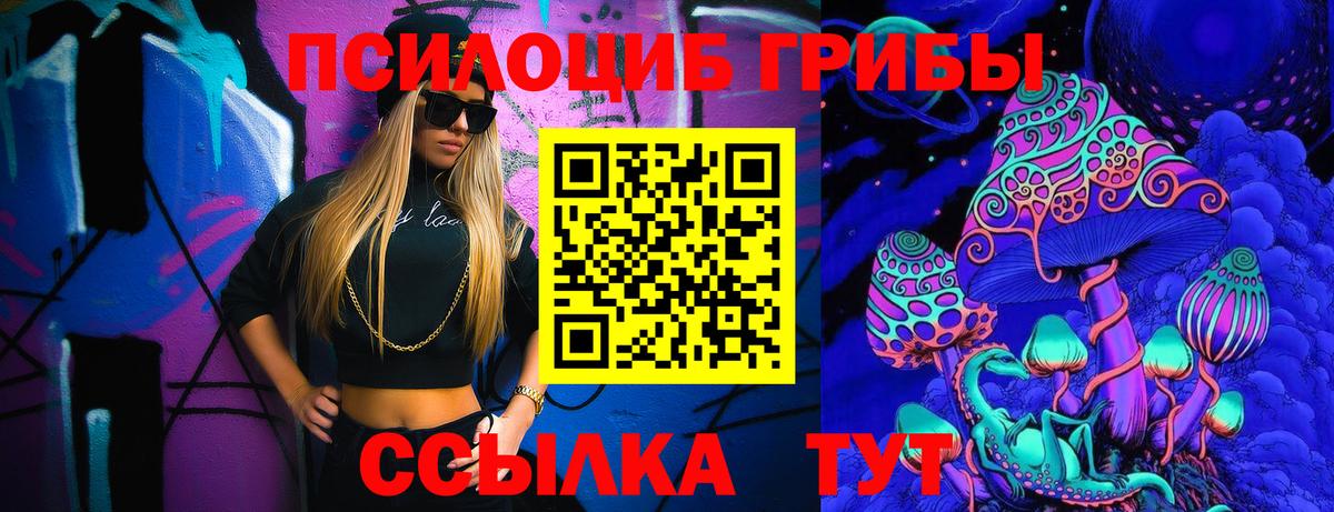 Псилоцибиновые грибы Cubensis Городец